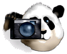 Панда с фотоаппаратом для оформления фотоальбома