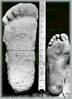 Сравнение отпечатка Бигфута со стопой человека
