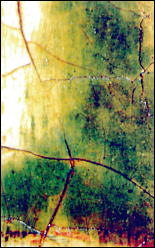 Зеленый - позём на иконе «Благовещение» (начало XV в.) из Праздничного ряда иконостаса Благовещенского собора Московского Кремля. Натуральный малахит, уголь, свинцовые белила. Фотосъемка через бинокулярный микроскоп, увеличено в 25 раз