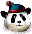 Панда: В шапке для зимних видов спорта
